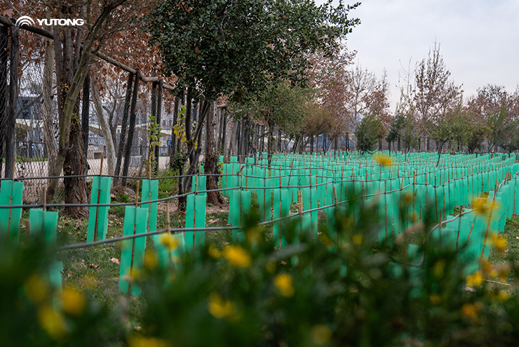 Yutong Plants 1,000 Trees in Chile’s Net Zero Forest to Boost Ecological Sustainability