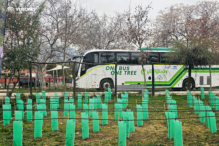 Yutong Plants 1,000 Trees in Chile’s Net Zero Forest to Boost Ecological Sustainability