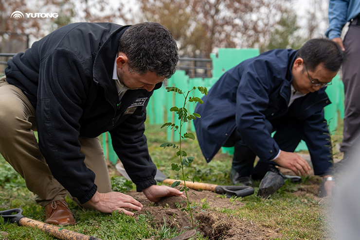 Yutong Plants 1,000 Trees in Chile’s Net Zero Forest to Boost Ecological Sustainability