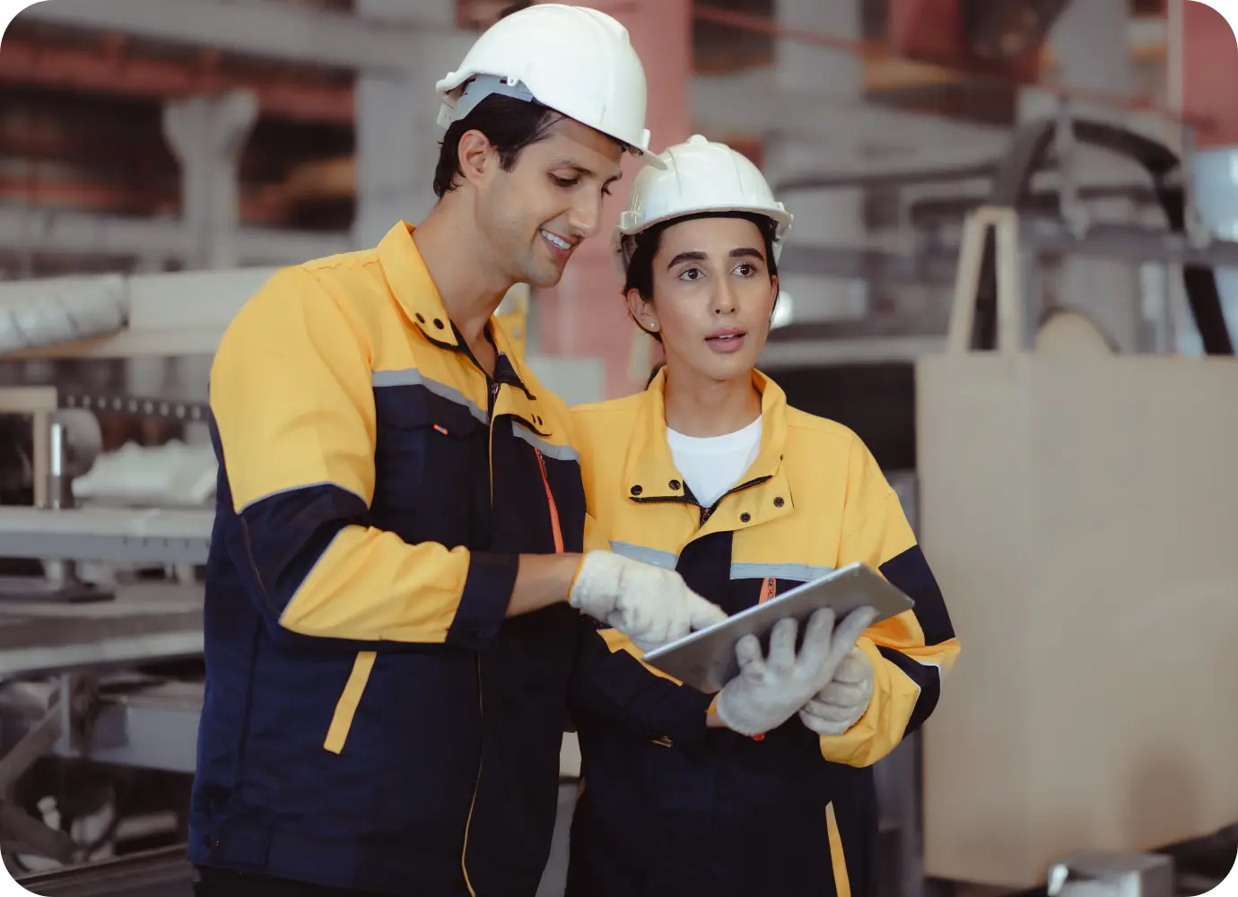 Yutong Version Netherlands